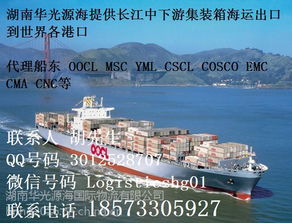 上海至長沙水運集裝箱門到門運輸與海上國際貨物運輸代理一體化解決方案